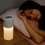 KC-H110 Dual-Spray Portable Humidifier with 400 mL Tank
