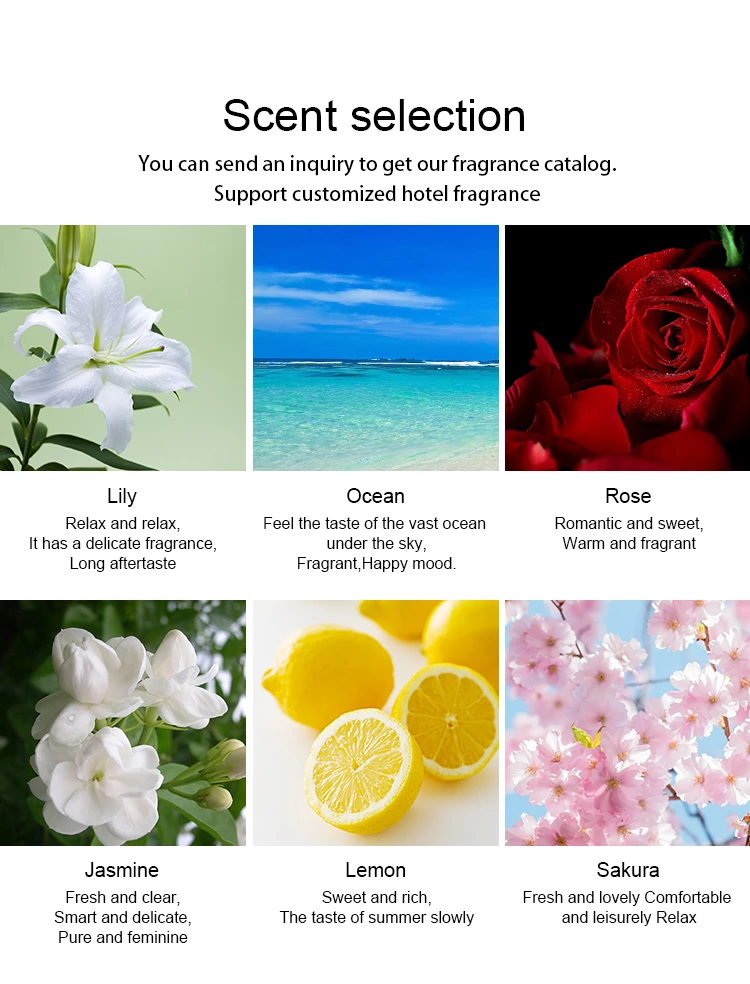 TOP 1 20ml Custom Essential Oil NO.:PT21