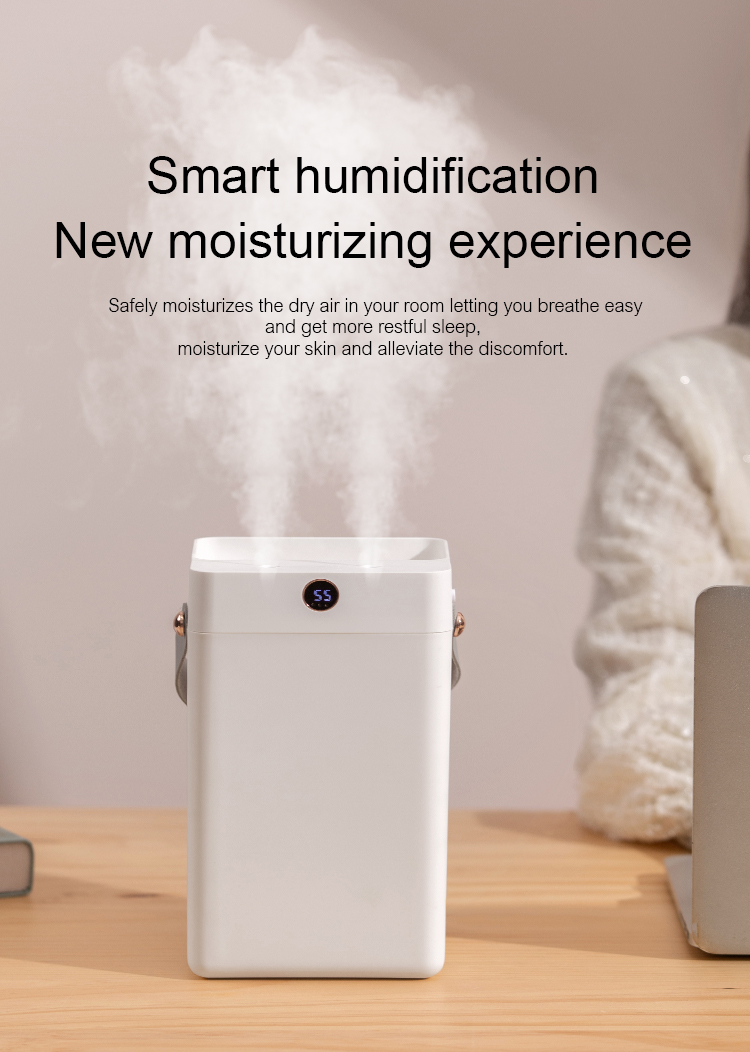 Air Humidifier DQ216/DQ217（3000ml）, Large capacity humidifier, Cost