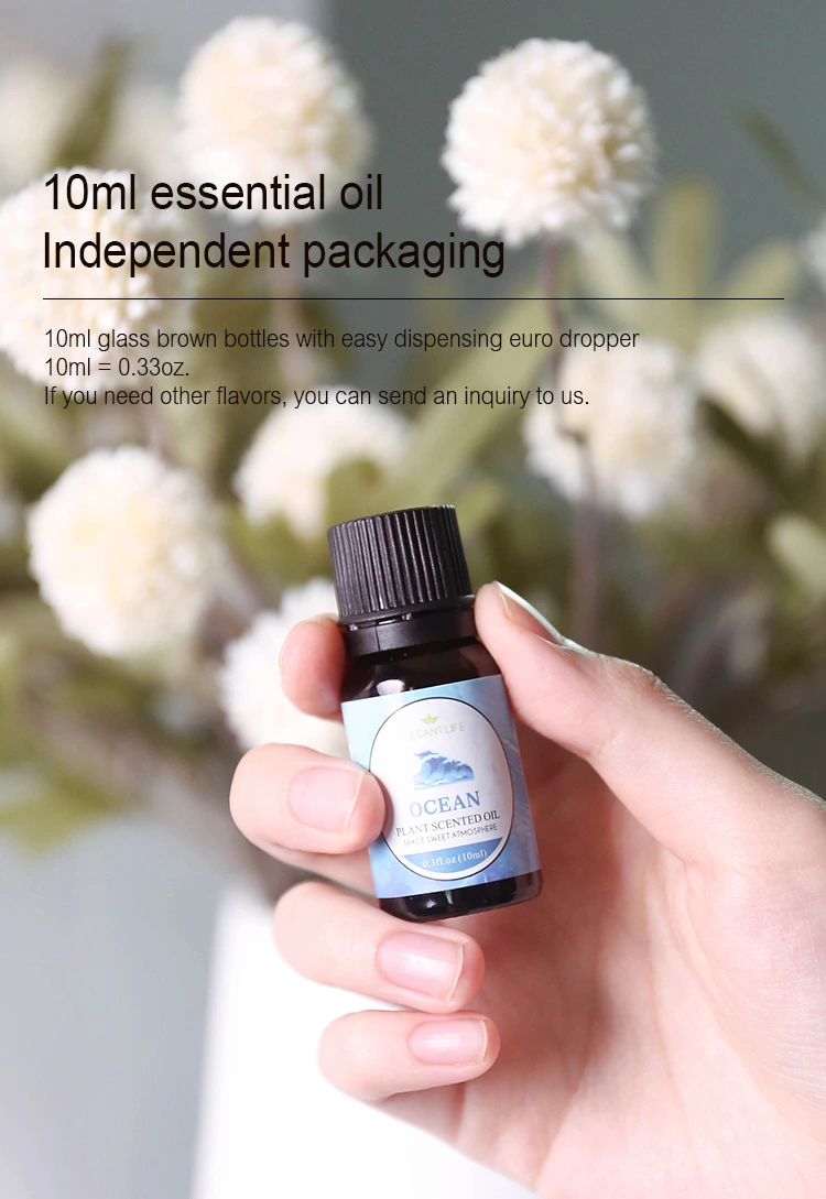 TOP 1 10ml Pure Essential Oil NO.:EO13